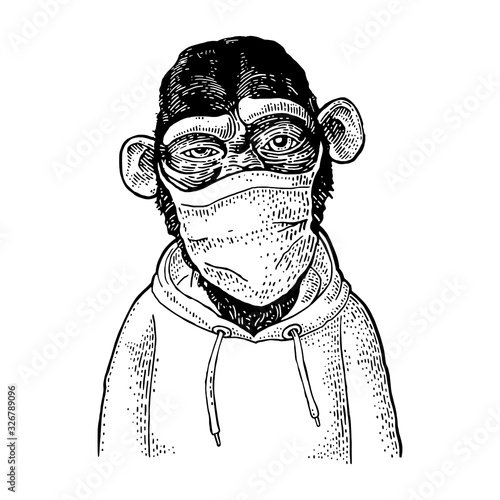 Monkey dressed in the hoodie and mask.Vintage engraving
