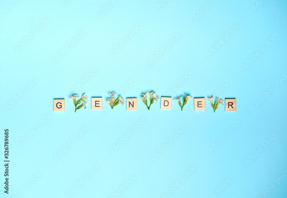 Word gender depicted by using wooden blocks and flowers on colorful blue background