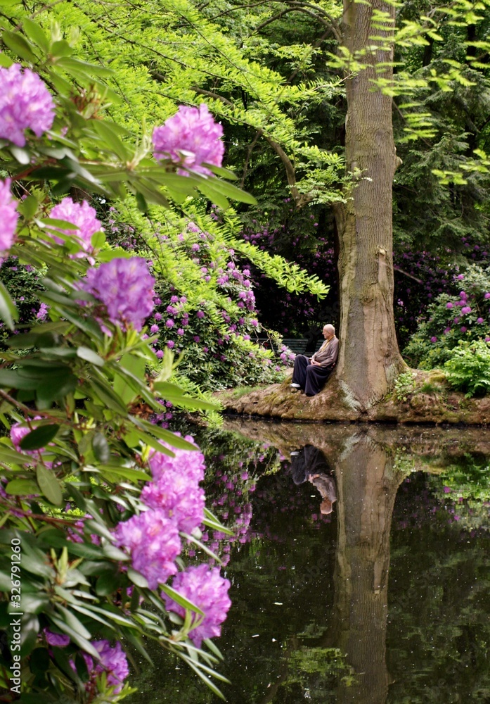 Mann lehnt an Baumstamm im Rhododendronpark Mann lehnt an Baumstamm im Rhododendronpark
