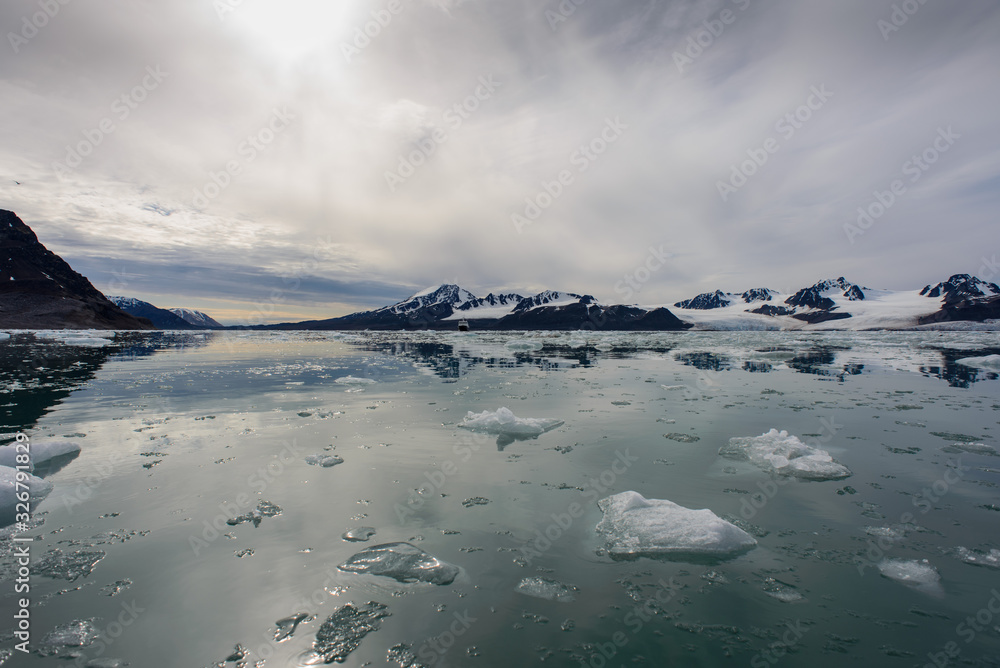 Fototapeta premium Arctic landscape