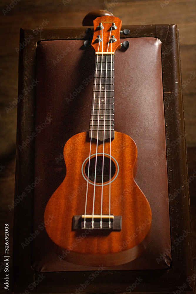 Obraz premium ukulele le