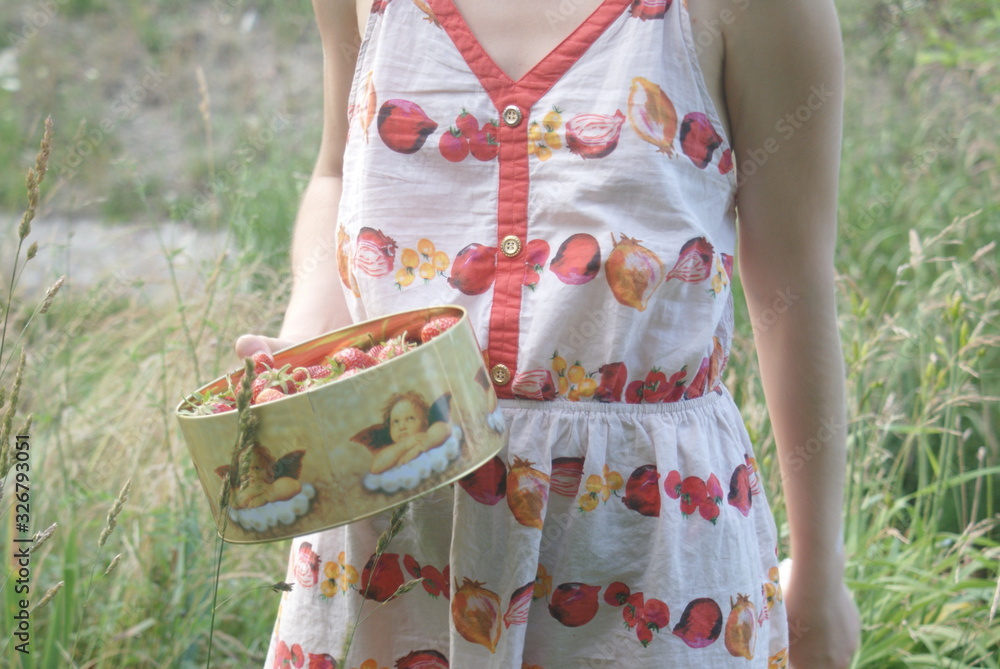dziewczyna w letniej sukience zbiera truskawki w ogrodzie  - obrazy, fototapety, plakaty 