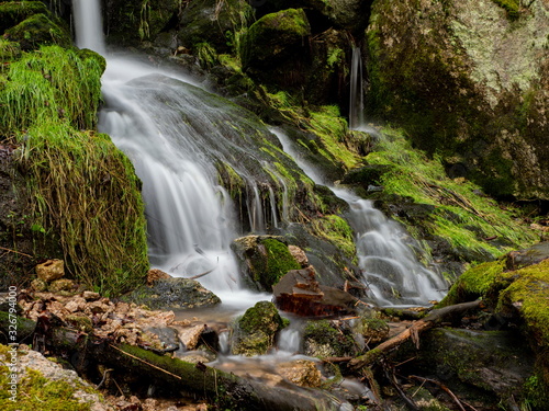 Waterfall in a green forest