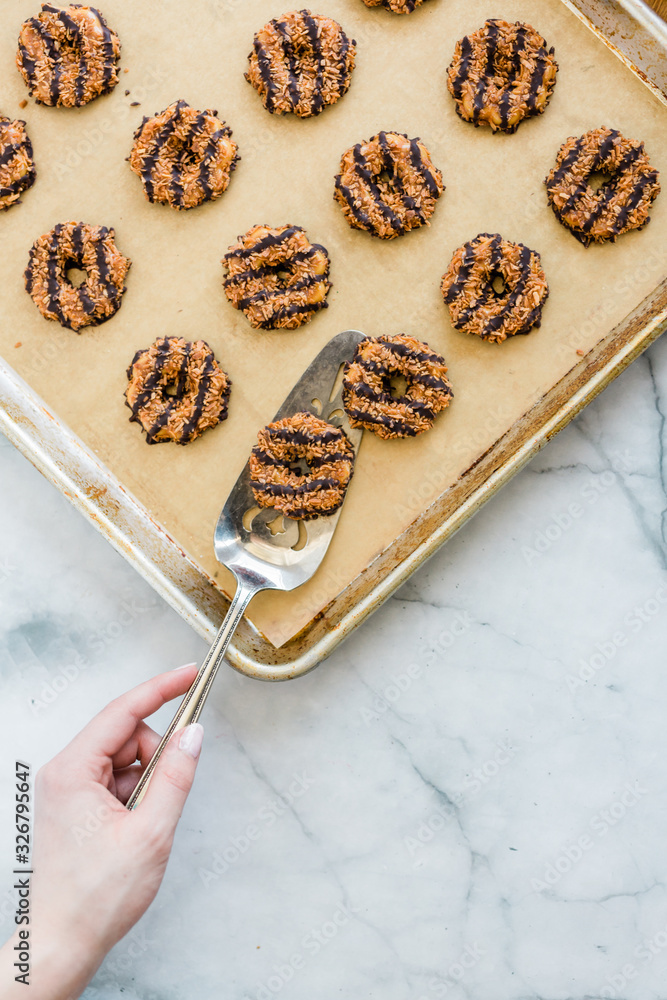 Coconut Chocolate Cookies Coconut Chocolate Cookies