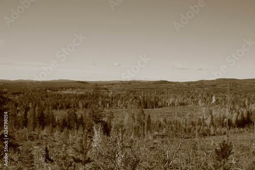 Vintage shot of forest landscape from Granberg, northern Sweden photo