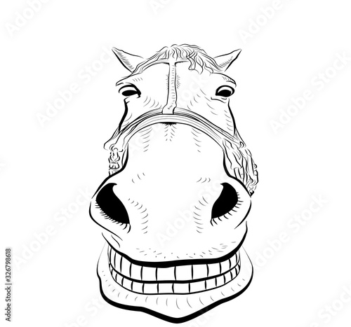 The horse head. Smiling. Sketch art.