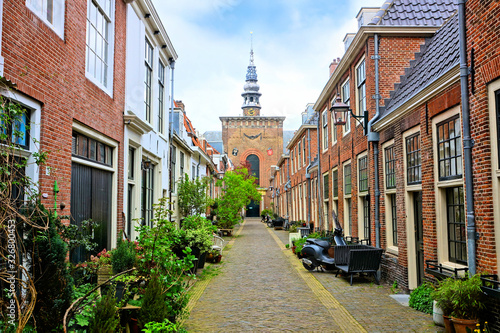 Canvas Print Leafy Dutch street with church tower in background, Haarlem, Netherlands