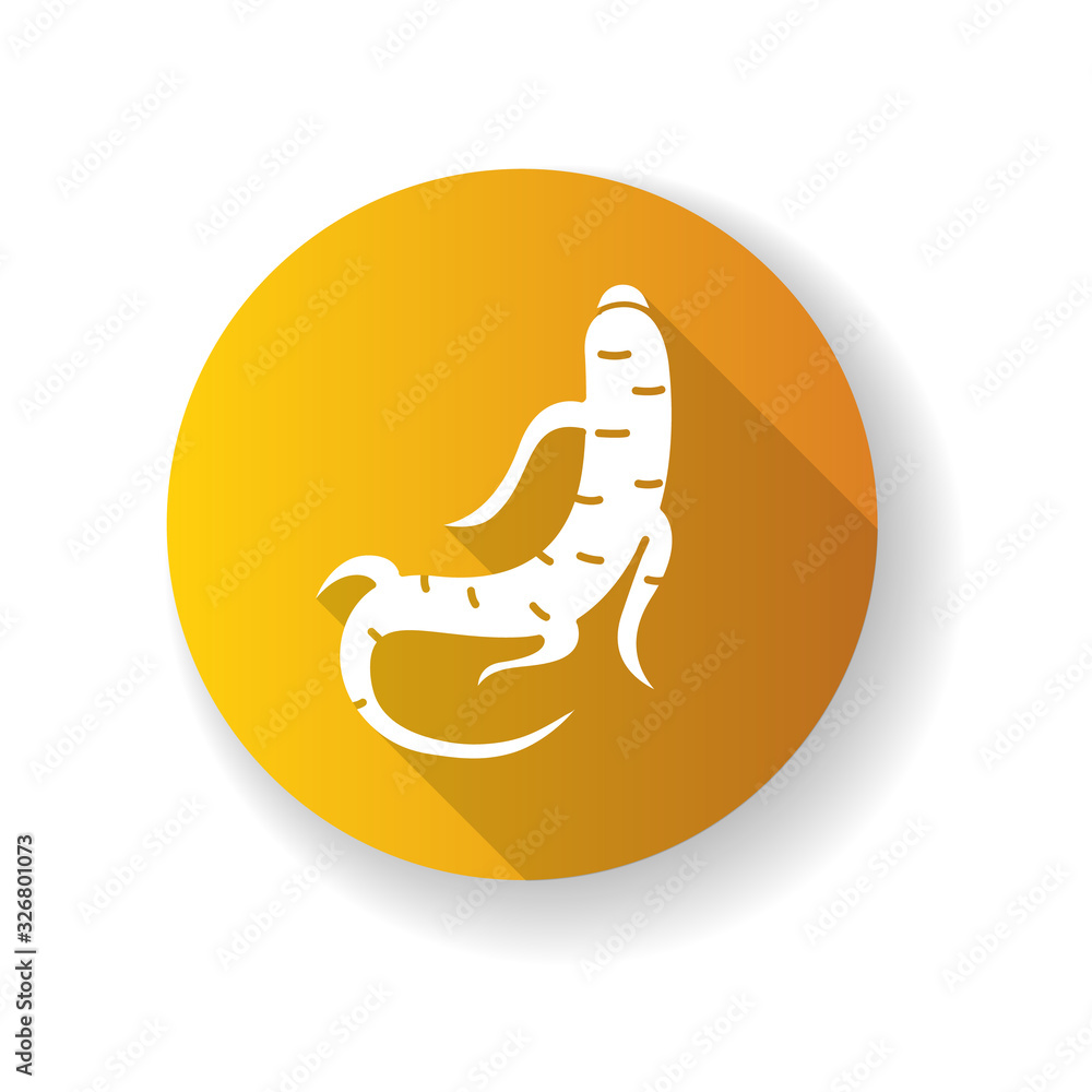Ginseng orange flat design long shadow glyph icon. Herbal root. Healing component for scars and acne. Chinese traditional treatment. Organic antioxidant. Silhouette RGB color illustration