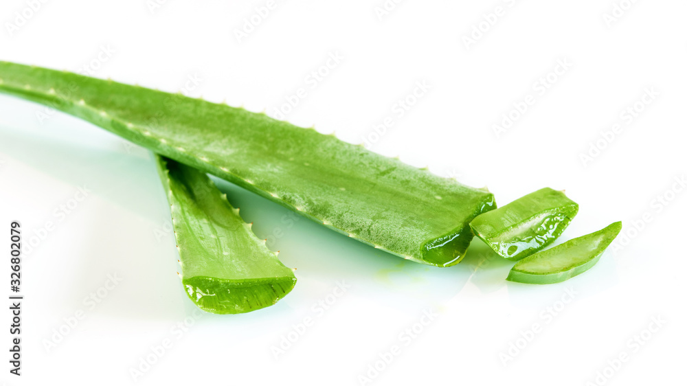 Aloe vera leaves on the white background. Restorative, renewal. Ingredient for natural medicine. Aloe vera leaves on the white background. Restorative, renewal. Ingredient for natural medicine.