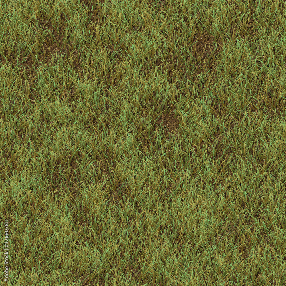 seamless plains grass vegetation background texture seamless plains grass vegetation background texture