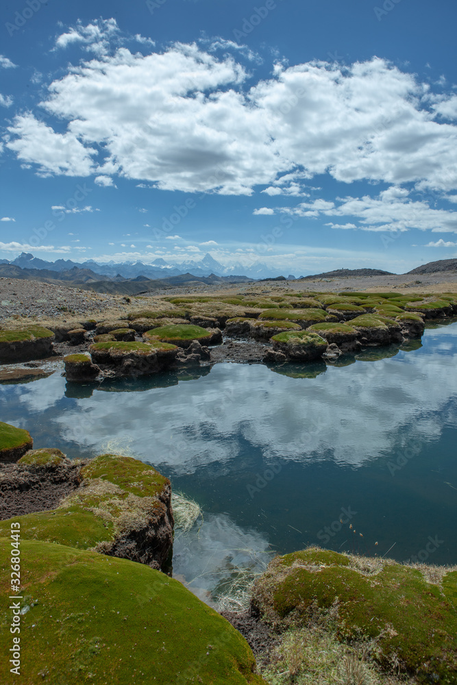 Pond and moss at National Park Huascaran Peru South America Andes. Mataraju Jungay. Cordillera Blanca