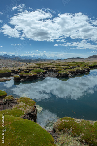 Pond and moss at National Park Huascaran Peru South America Andes. Mataraju Jungay. Cordillera Blanca