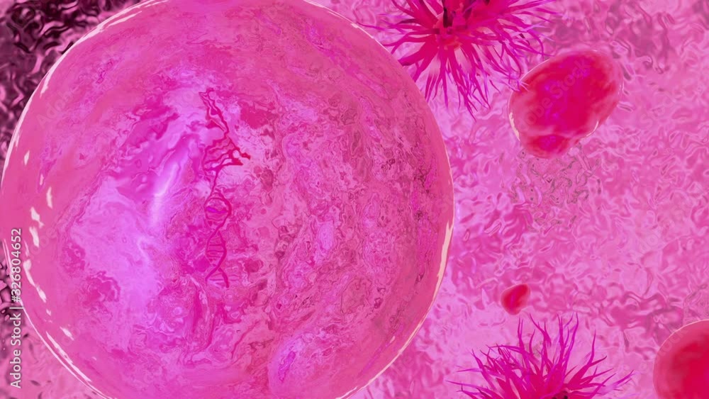 3D animation of peering inside a living cell. The camera passes through the cell membrane, the organelles, then crosses the nuclear membrane and shows the DNA helix. 3D animation of peering inside a living cell. The camera passes through the cell membrane, the organelles, then crosses the nuclear membrane and shows the DNA helix.