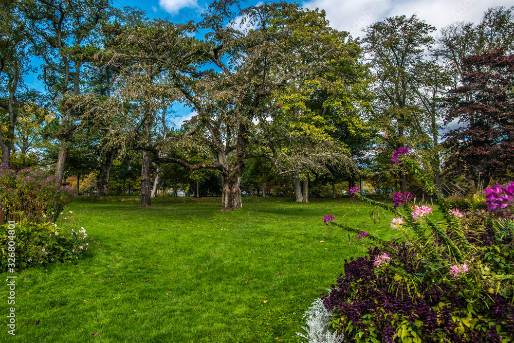 Obraz premium Park in Halifax