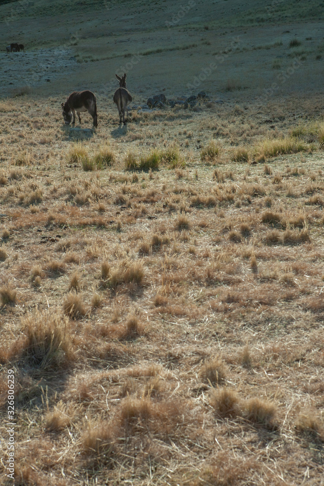 Bosque de peidras. City of Rocks. Peru. Jatun de Machay. Bosque de peidras. City of Rocks. Peru. Jatun de Machay.