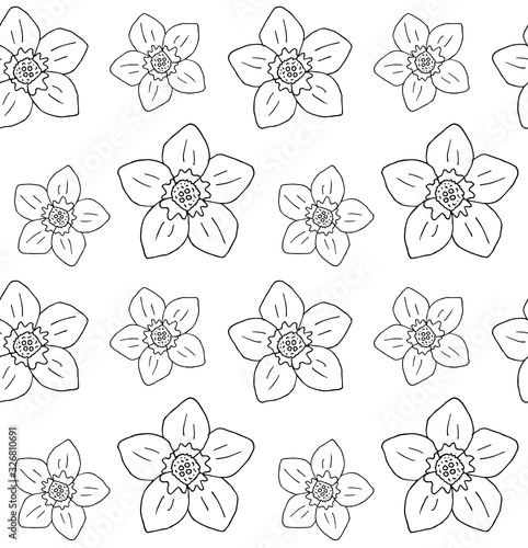 Vector seamless pattern of hand drawn doodle sketch forget me not flower isolated on white background