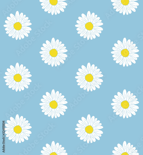 Vector seamless pattern of white hand drawn doodle sketch daisy chamomile flower isolated on blue background © Sweta
