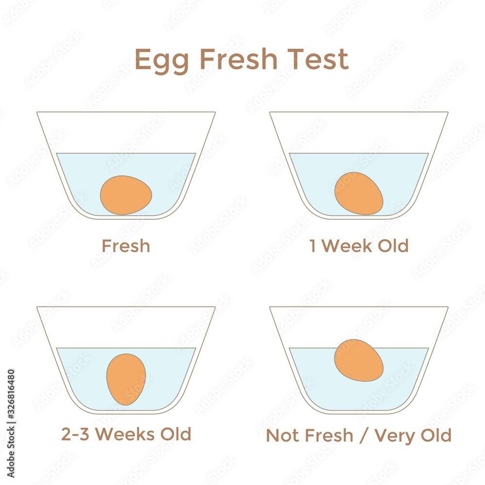 Vector illustration of egg freshness test. Instruction of testing eggs with water for safety. Simple egg float test infographics for your projects.