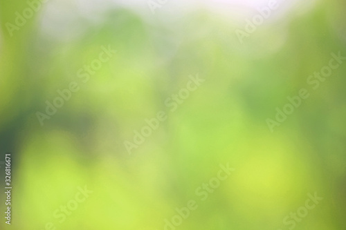 Bokeh green nature, Subtle background in abstract style for graphic design