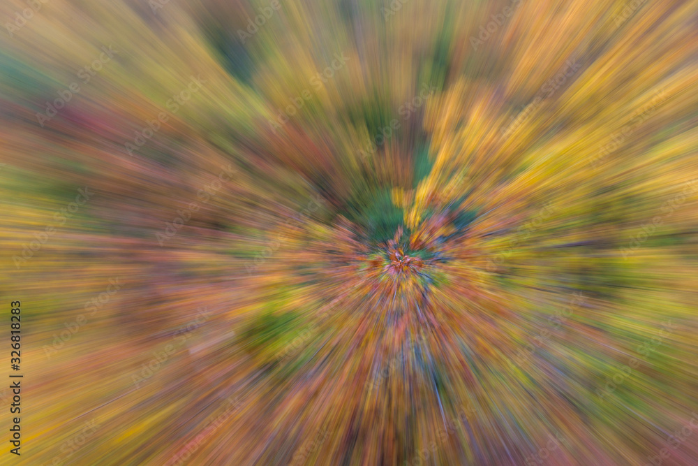 Naklejka premium Abstract photo. Autumn forest on a bright sunny day. Colorful textured background. long shutter speed.