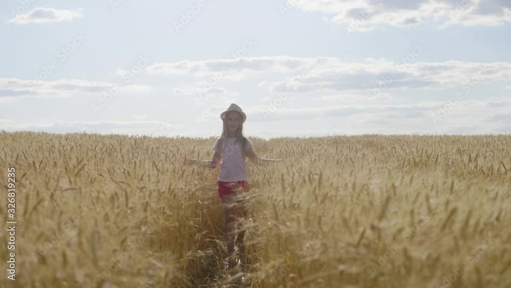 Little girl walking on a gold wheat field. Freedom child in a wheat field. Little girl walking on a gold wheat field. Freedom child in a wheat field.