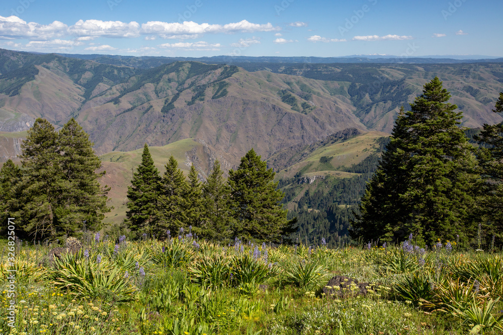 Hell's Canyon Overlook