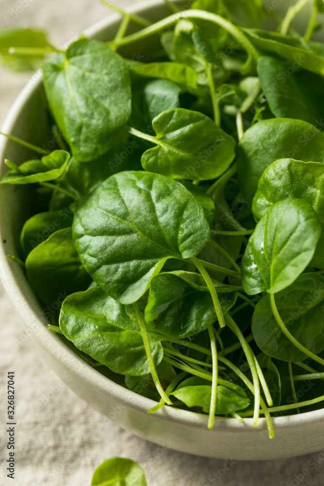 Raw Green Organic Watercress Raw Green Organic Watercress