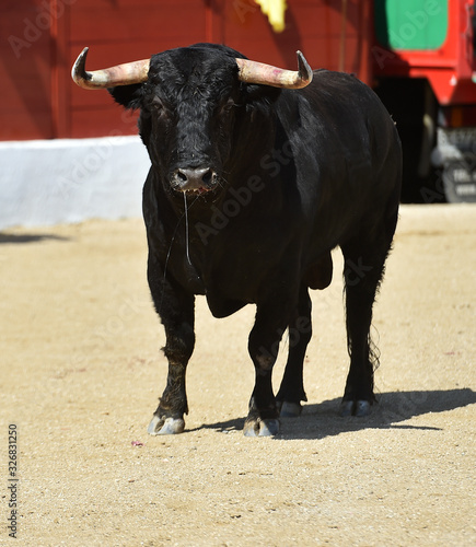 toro poderoso en españa