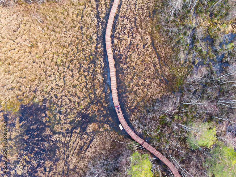 Aerial view of wooden walkway on the territory of Sestroretsk swamp, ecological trail path - route walkways laid in the swamp, reserve 