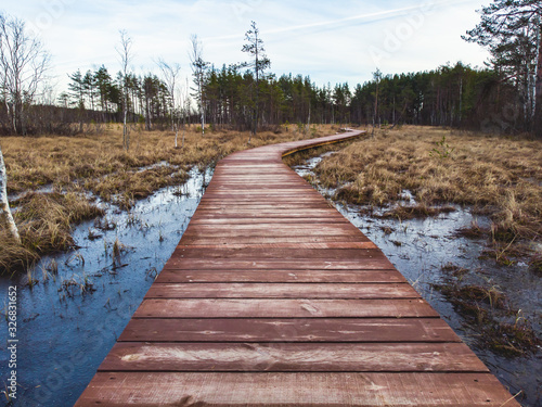 Aerial view of wooden walkway on the territory of Sestroretsk swamp, ecological trail path - route walkways laid in the swamp, reserve "Sestroretsk swamp", Kurortny District, Saint-Petersburg, Russia