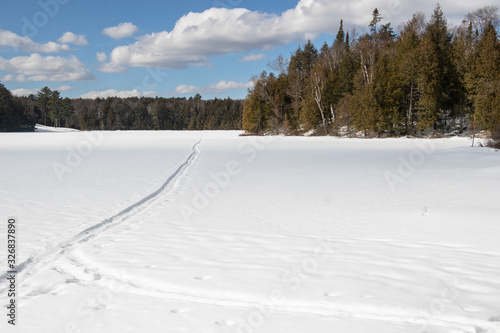 Tracks across a frozen lake in Muskoka on winter day