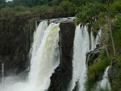 waterfall in forest