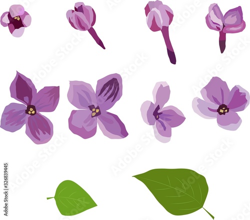 Set of flowers and leaves for making a bouquet of lilac