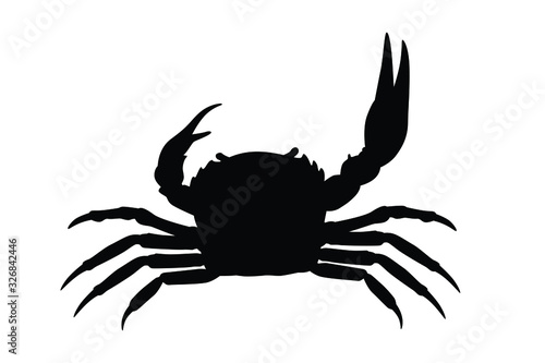 Crab silhouette vector, animal wildlife