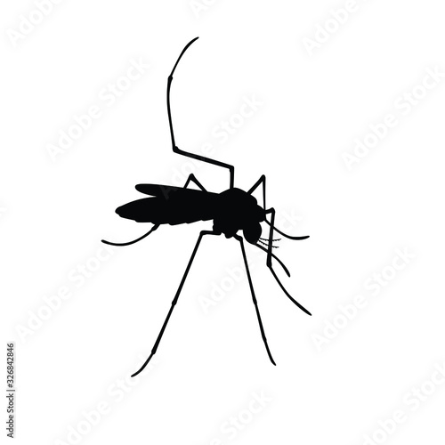 Mosquito silhouette vector