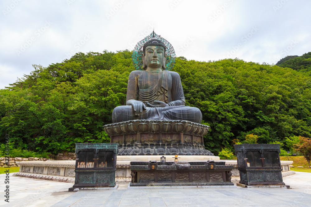 Asia Chinese tourist pray at the huge Buddha in the Sinheungsa Temple at Seoraksan National Park, South Korea