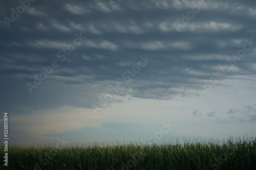 clouds and field