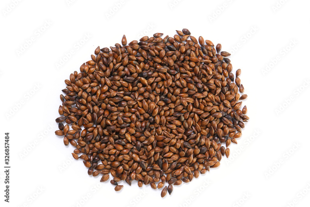 roasted barley grain on a white background roasted barley grain on a white background