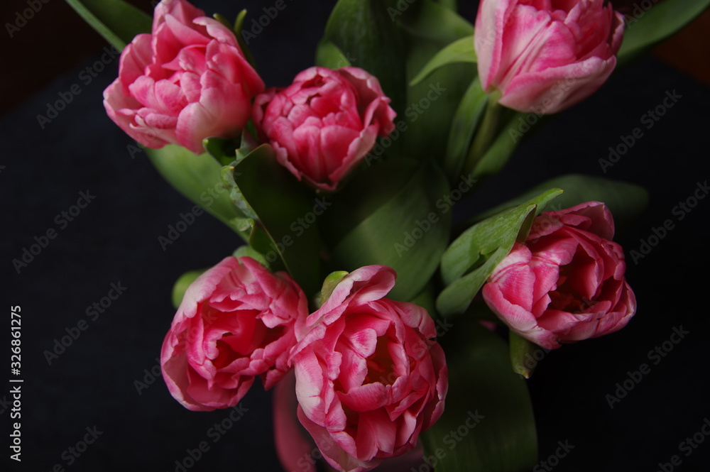 Obraz premium Yellow red tulips bouquet on black baclground