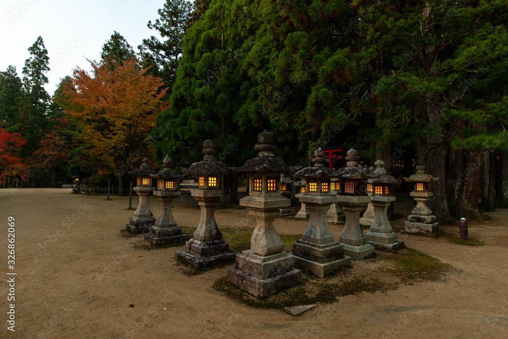Fototapeta premium 夜明けの空と寺の建築物と樹木