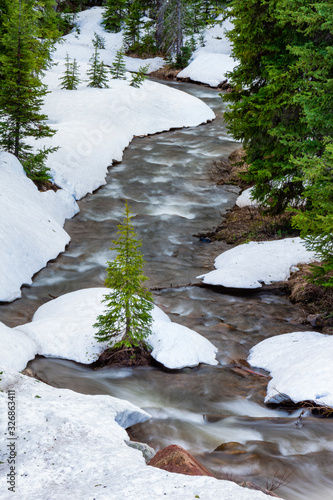 Gallatin National Forrest Montana, snow capped mountain stream with pine tree and snowy river banks in winter Montana, Madison Ranges, United States photo