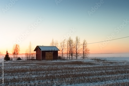 Little Red Hut And Bare Birch Trees
