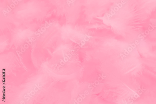 Beautiful abstract colorful white and pink feathers on white background and soft white feather texture on white pattern and light pink background valentine day