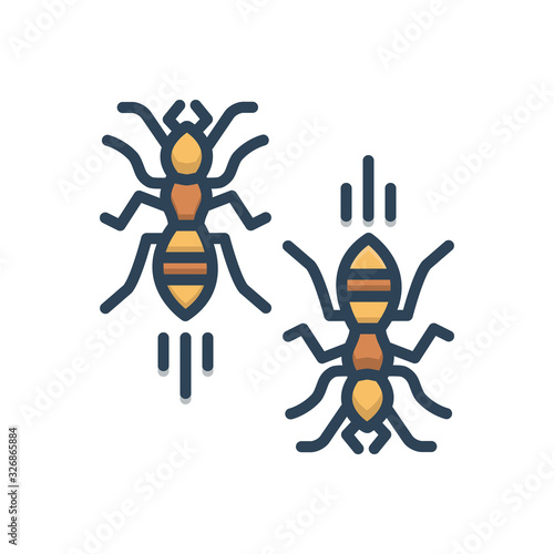 Color illustration icon for ants insect 