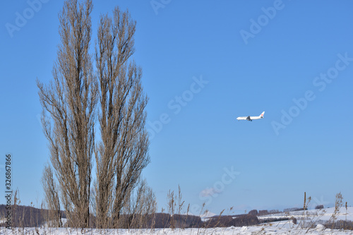 Obraz na płótnie 美瑛 ケンとメリーの木と飛行機