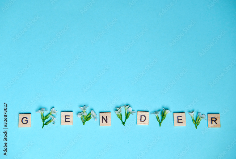 Word gender depicted by using wooden blocks and flowers on colorful blue background Word gender depicted by using wooden blocks and flowers on colorful blue background