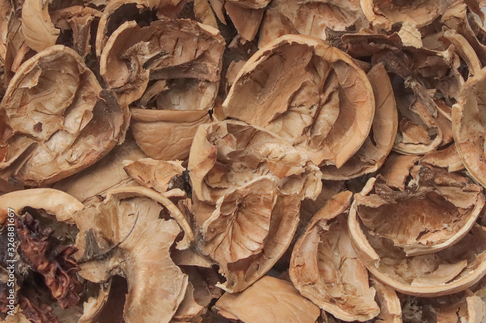 Shell from chopped walnuts. Shell from chopped walnuts.