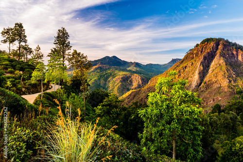 Hike to the Little Adams peak in Ella, Sri Lanka