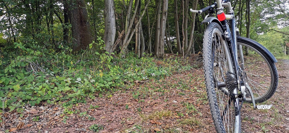 Ein Fahrrad steht zur Pause im Wald Ein Fahrrad steht zur Pause im Wald