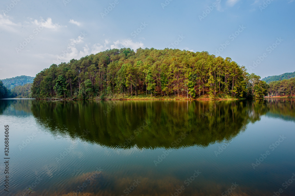 Fototapeta premium Asia, Mae Hong Son Province, Thailand, Backgrounds, Bamboo - Material